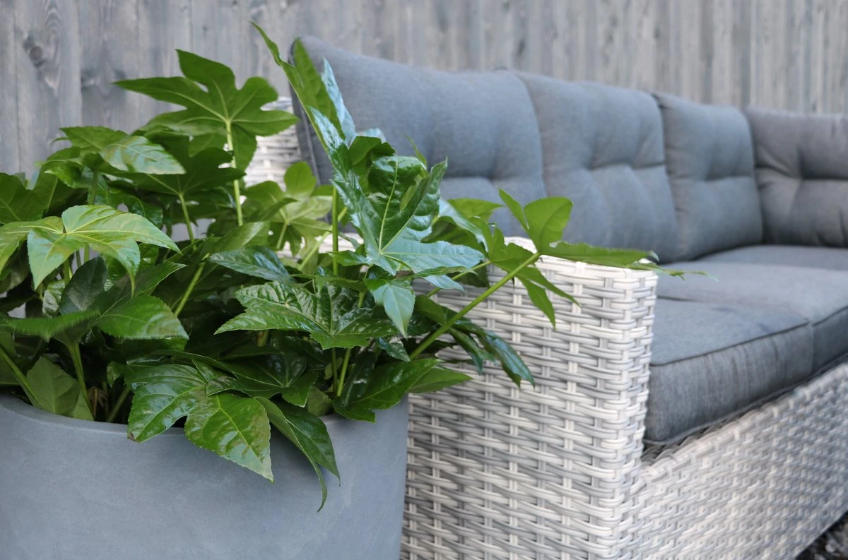 Merkloos Rivièra | Loungeset Hoekset Dining Set Tuinset | Wicker | Hoekbank, Hoge Tuintafel, 2 Hockers | 6 Zitplaatsen - Afbeelding 2